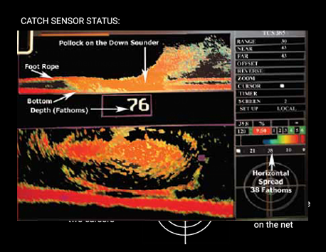 TCS385-300 in split screen showing pollock on the down sounder.