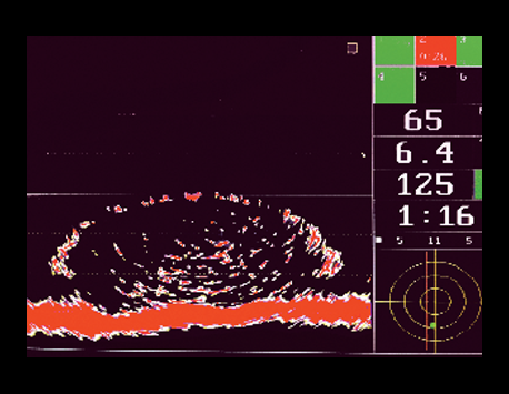 TCS385-500 in full screen profile showing duskys and northerns entering the net. 